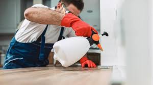 Best Pest Control for Hotels  in Ocilla, GA